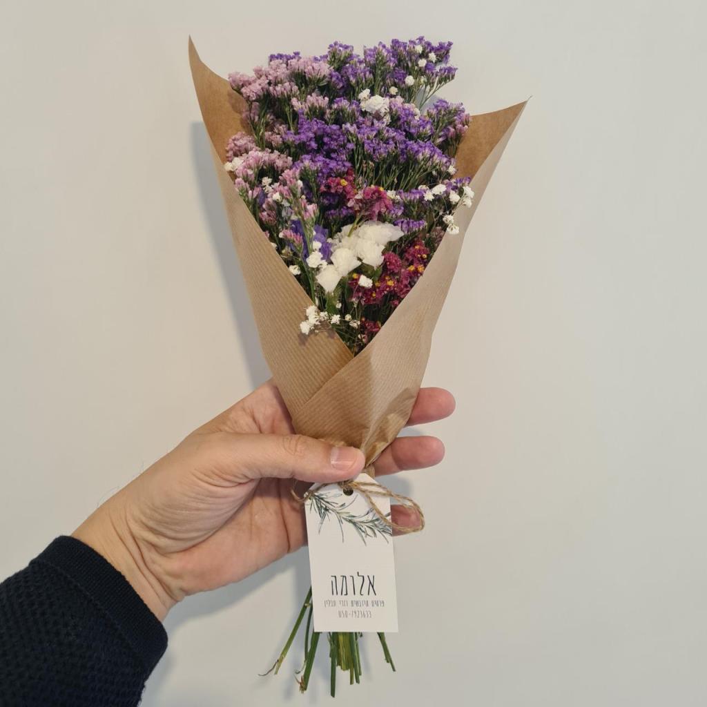 רנטו Renato רנטו Renato