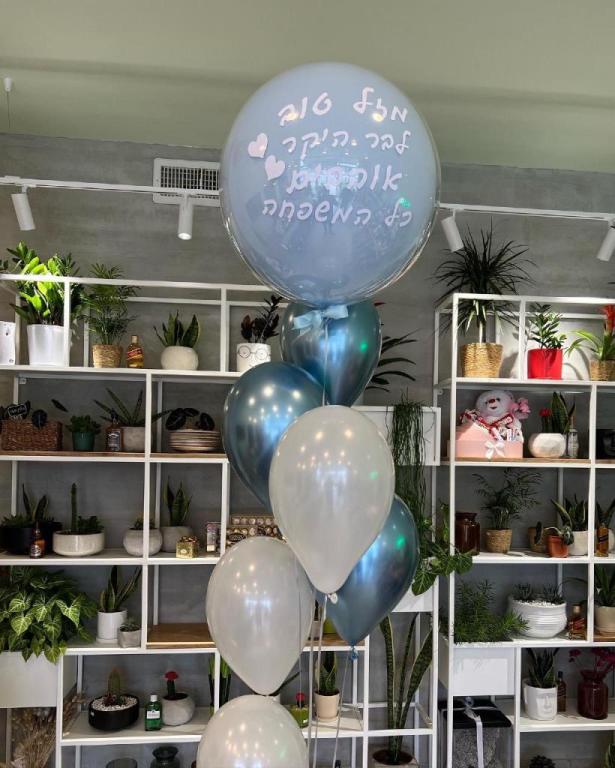 פלאוור פוינט Flowerpoint פלאוור פוינט Flowerpoint