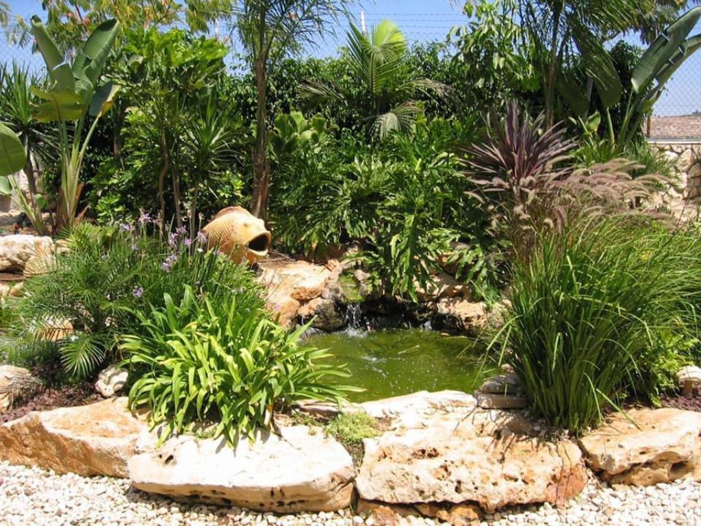 דניאל גינון דניאל גינון