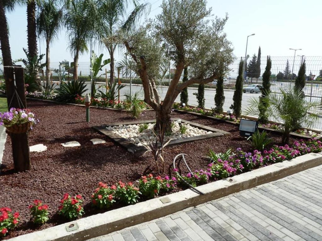 דניאל גינון דניאל גינון