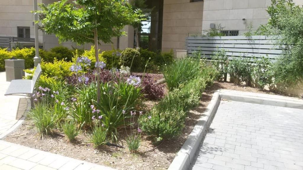 דניאל גינון דניאל גינון