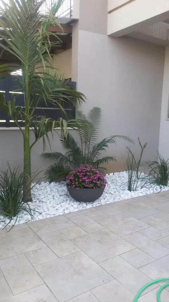 דניאל גינון דניאל גינון