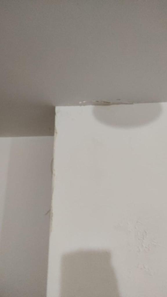 רז בן יוסף בדק בית רז בן יוסף בדק בית