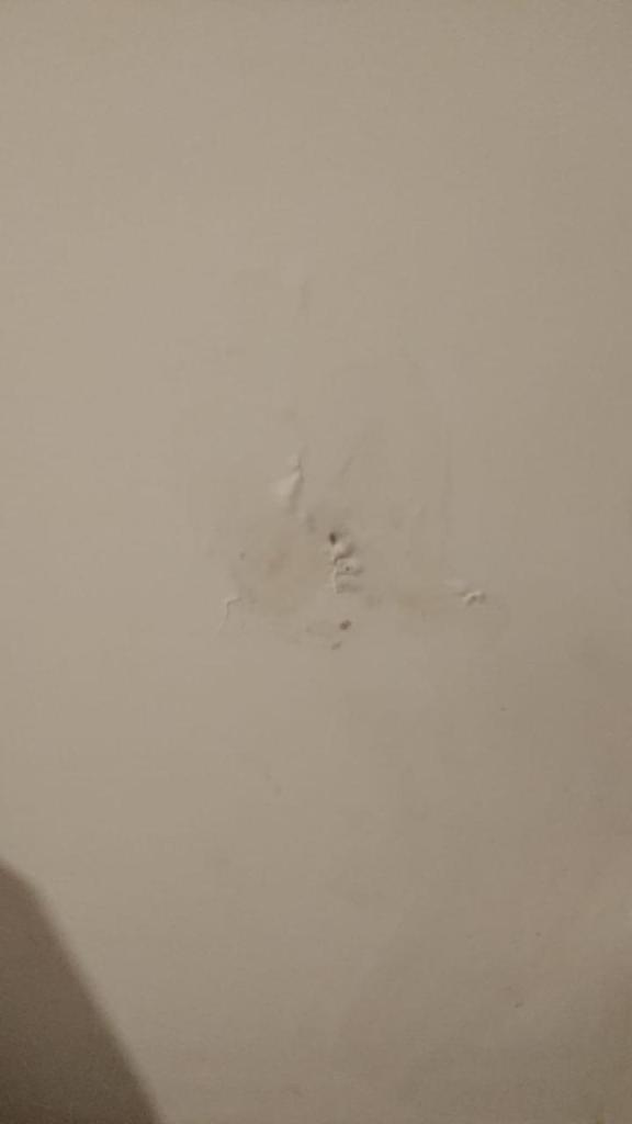 רז בן יוסף בדק בית רז בן יוסף בדק בית