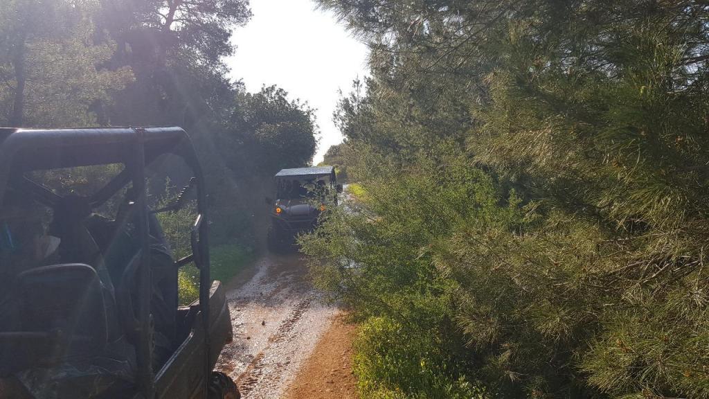 STR טיולי רייזרים בגליל STR טיולי רייזרים בגליל