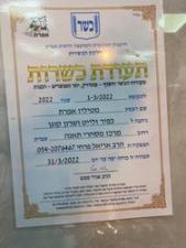 מיטליז