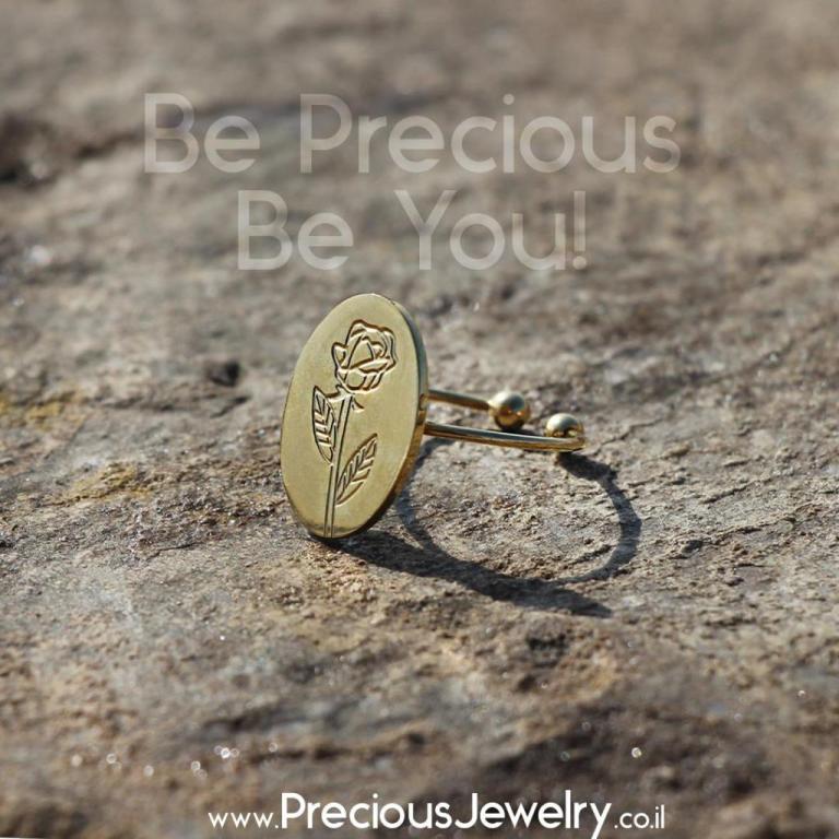 Precious jewelry Precious jewelry