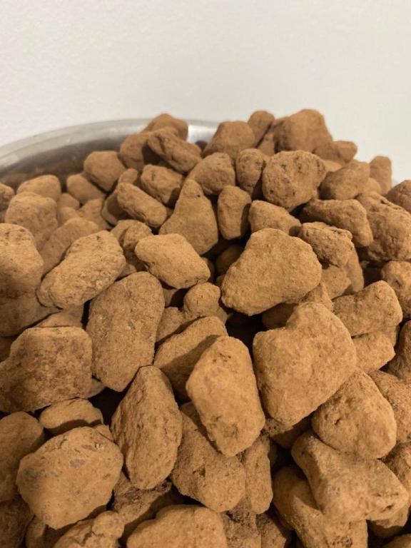 השוקולד של ג'ייקוב פיין השוקולד של ג'ייקוב פיין