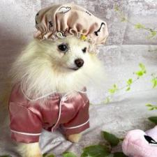 petstyle