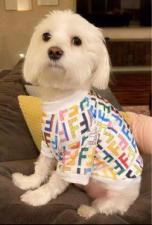petstyle