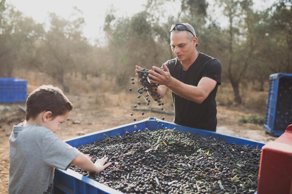 משק לוין משק לוין