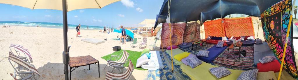 הזולה הנודדת הזולה הנודדת