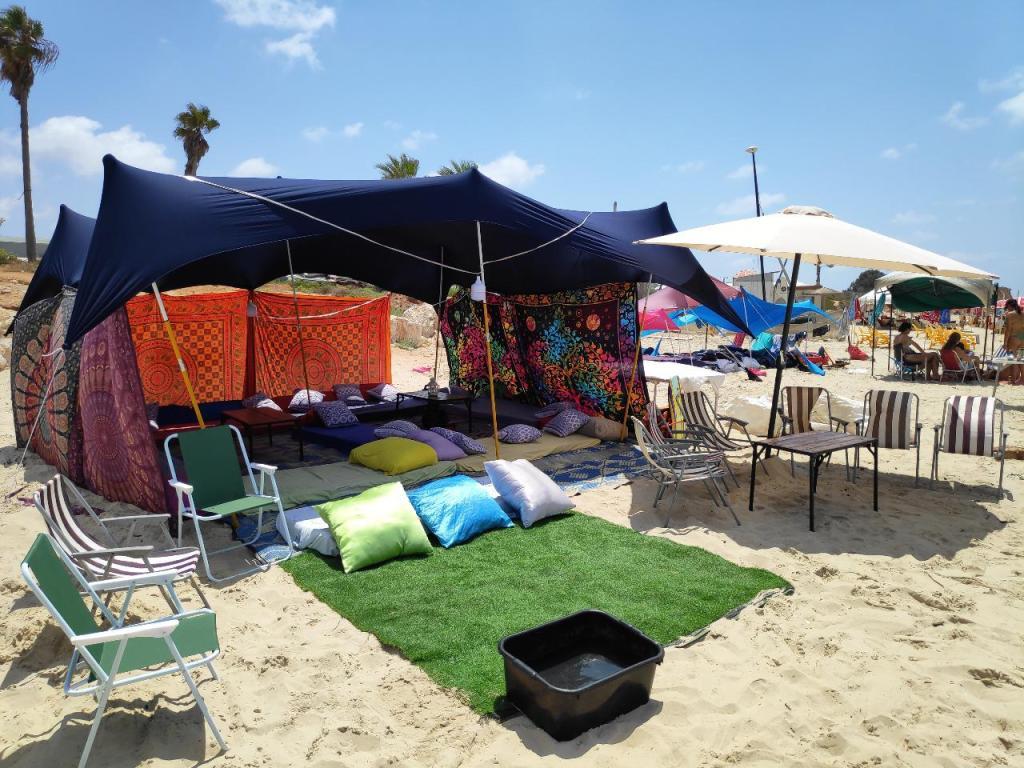 הזולה הנודדת הזולה הנודדת