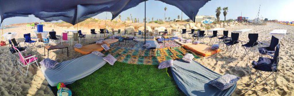 הזולה הנודדת הזולה הנודדת