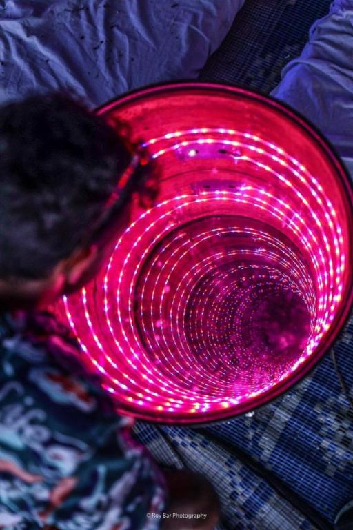 הזולה הנודדת הזולה הנודדת