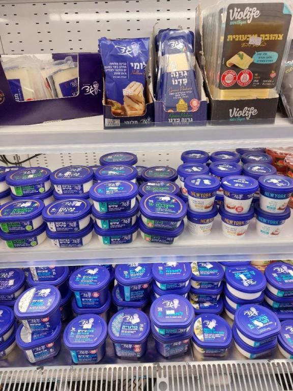 פנחסוב בעיר פנחסוב בעיר