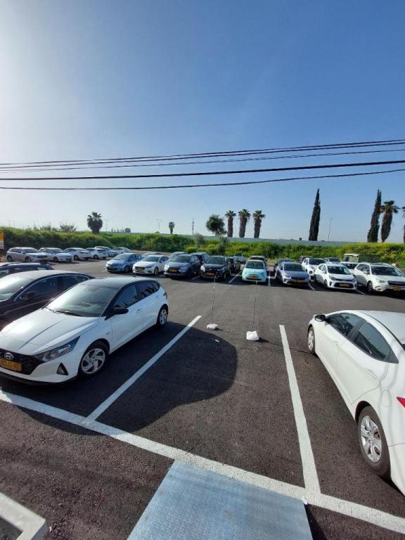 פנחסוב בעיר פנחסוב בעיר