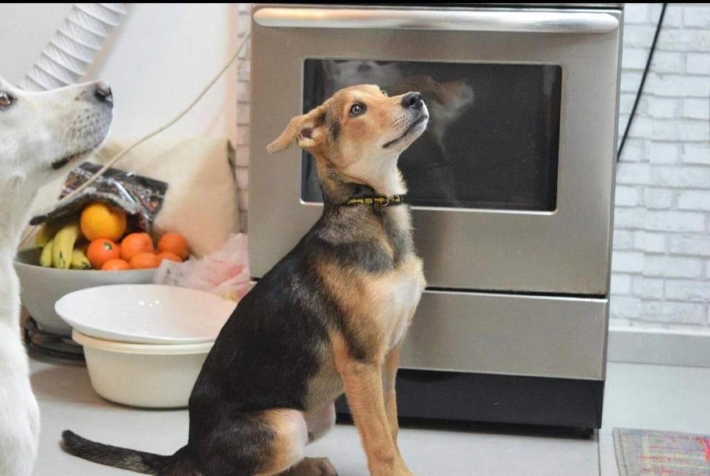 רוצה טיול רוצה טיול