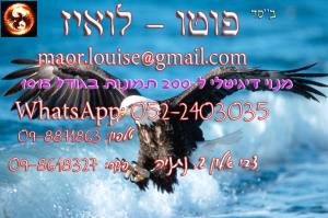 פוטו לואיז  מנוהל