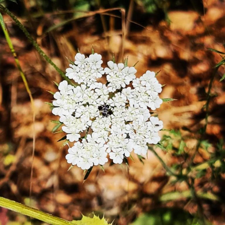 ment to drive ment to drive