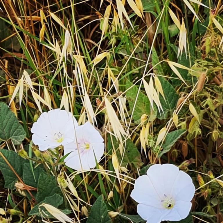 ment to drive ment to drive