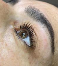 Sol Eyebrows Artist