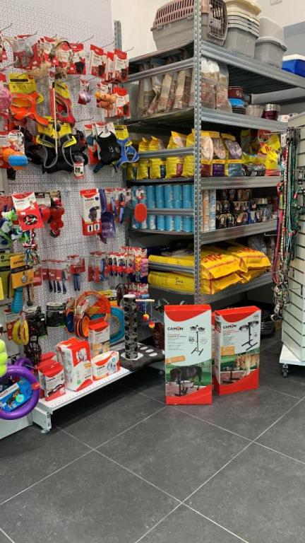 פט סטור פט סטור