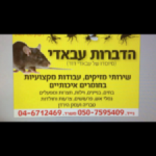 הדברות עבאדי