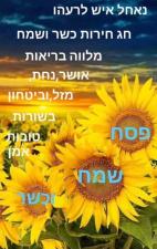 עמרי טכנולוגיה מדיה