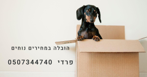 פרדי הובלות