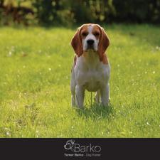 Barko
