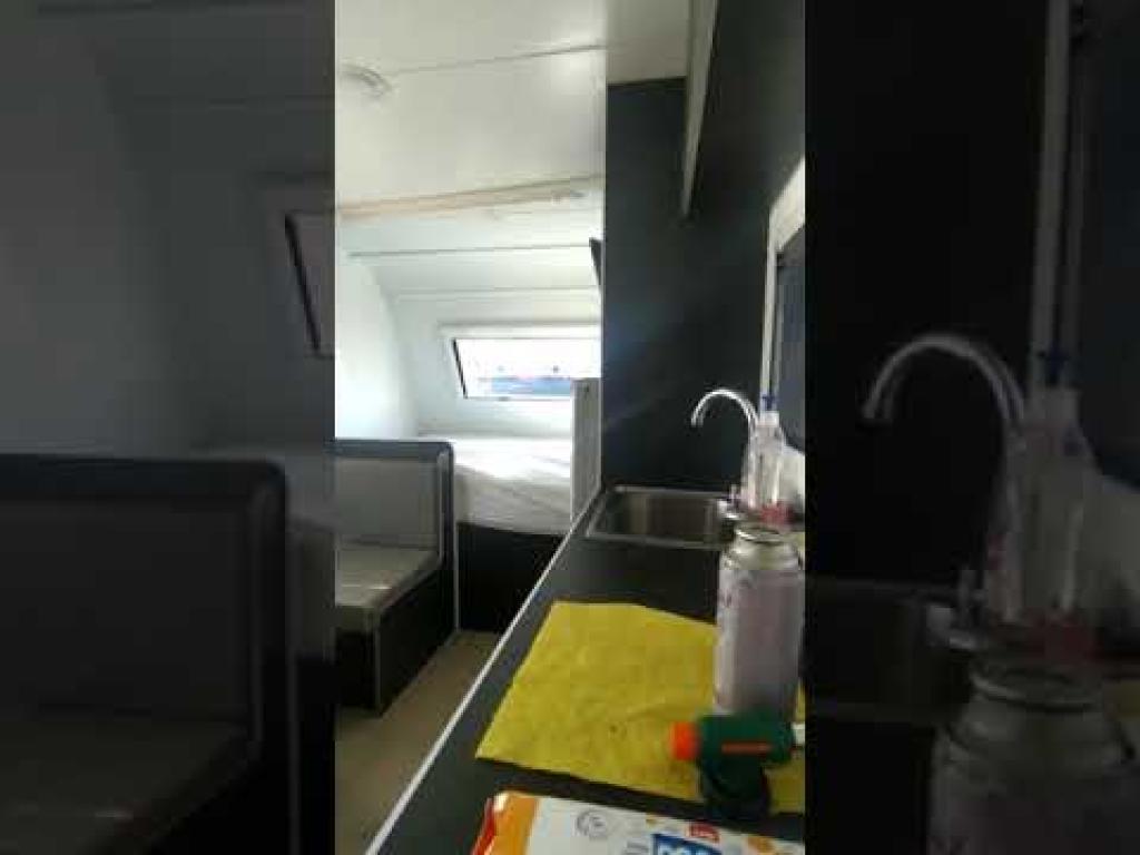 הדב הלבן הדב הלבן