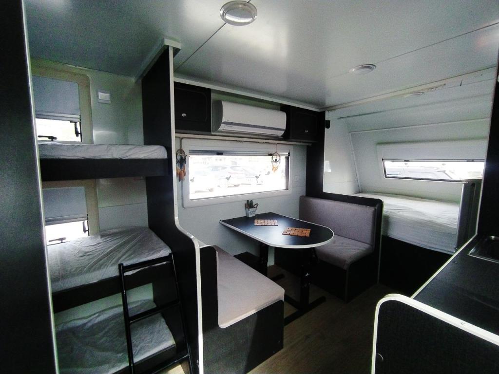 הדב הלבן הדב הלבן