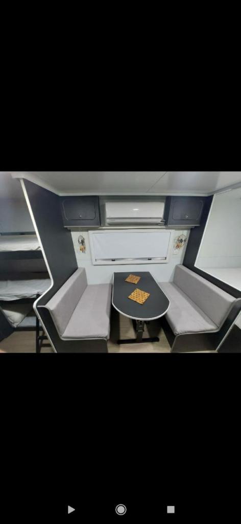 הדב הלבן הדב הלבן