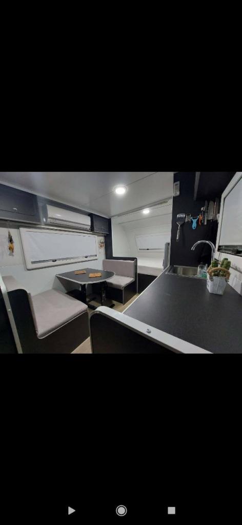 הדב הלבן הדב הלבן