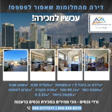 ורדי נכסים