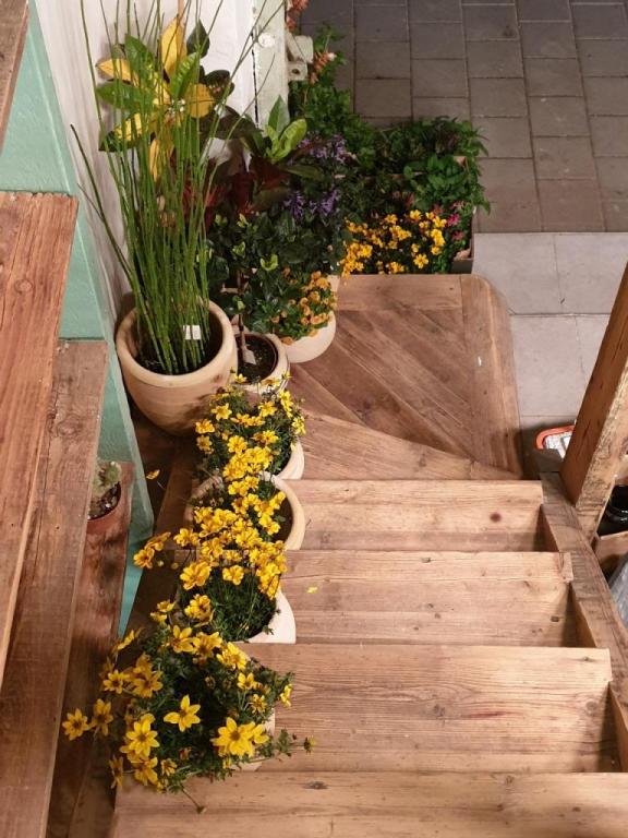 ביפראחכ ביפראחכ