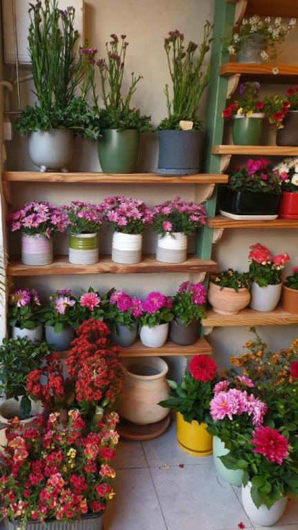 ביפראחכ ביפראחכ