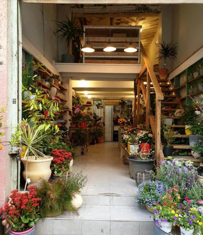 ביפראחכ ביפראחכ