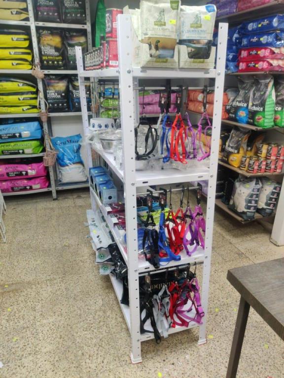 טאזמאניה טאזמאניה