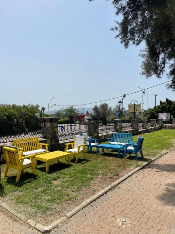 קפה Noam's קפה Noam's