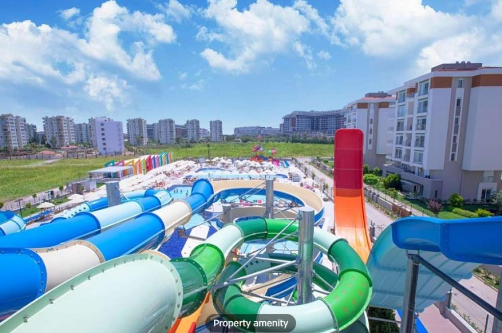 מובי דיל מובי דיל