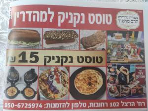 דוד אמונה