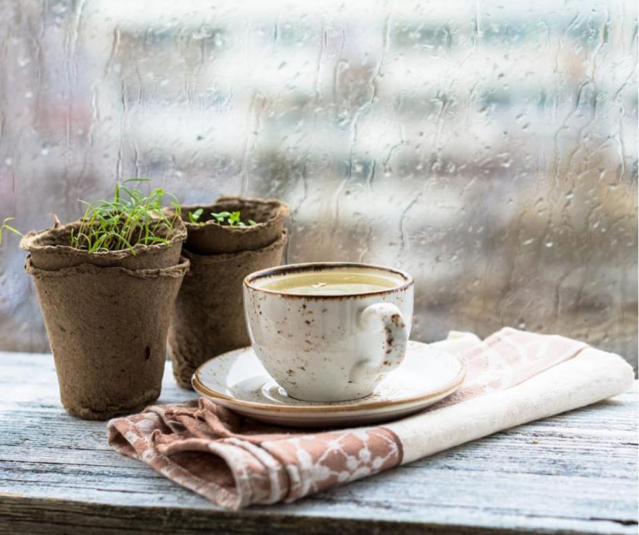 מוריה כהן הנקה והורות מוריה כהן הנקה והורות