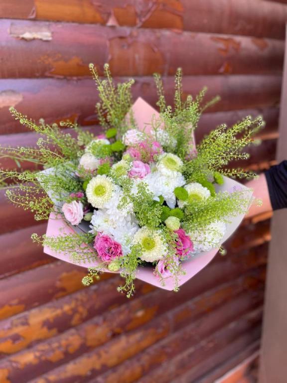 רוזלה Rosella רוזלה Rosella