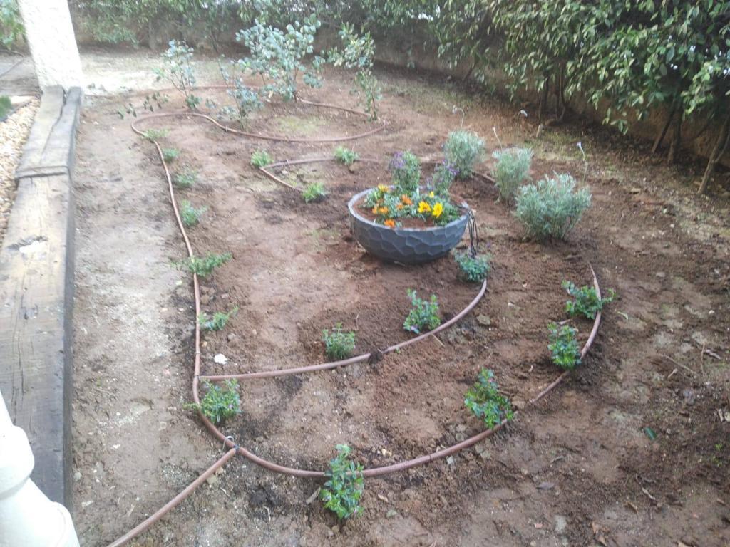 גן קטן בוטיק הנוף גן קטן בוטיק הנוף