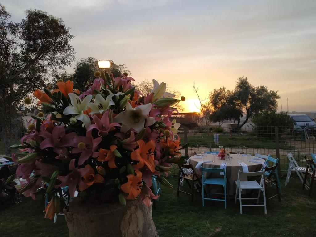 הסועד הנודד הסועד הנודד