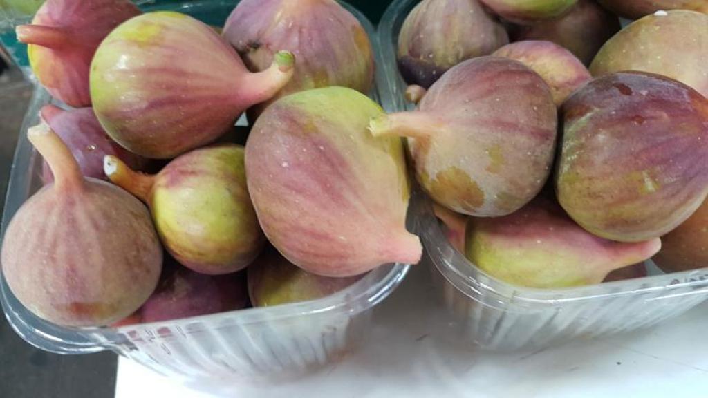 בוטיק הירק בוטיק הירק