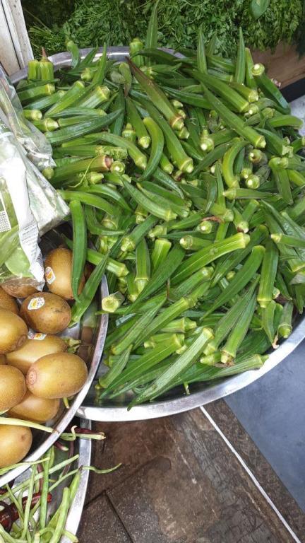 בוטיק הירק בוטיק הירק