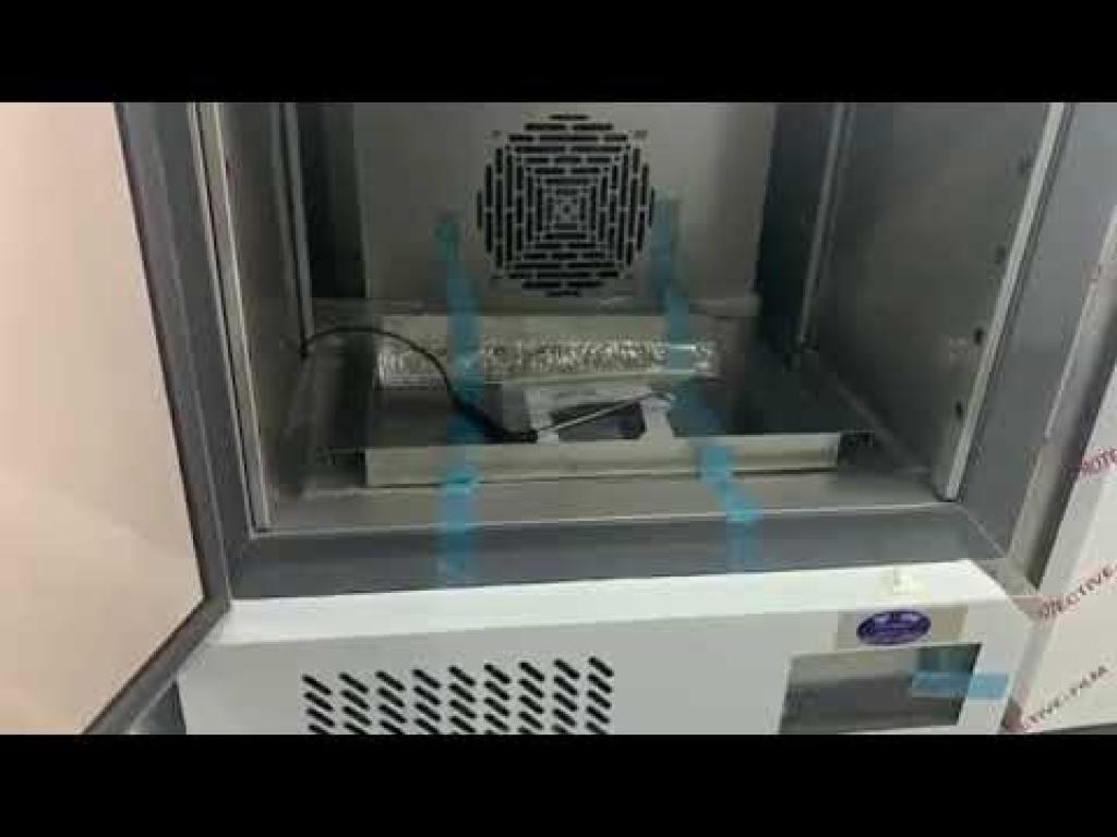 שחר קור שחר קור